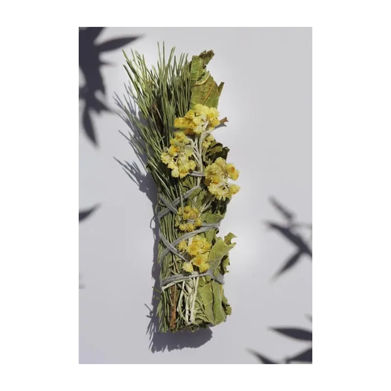 Le bouquet de l'ours - Totem Nature