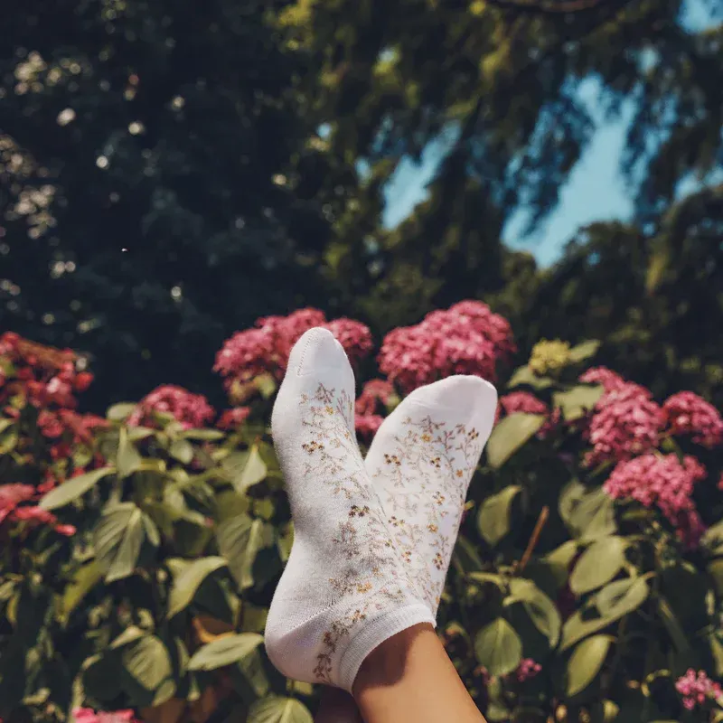 Les Baies socquettes - Maison Broussaud