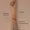 Eclo swatches application